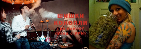альфа пвп Заводоуковск